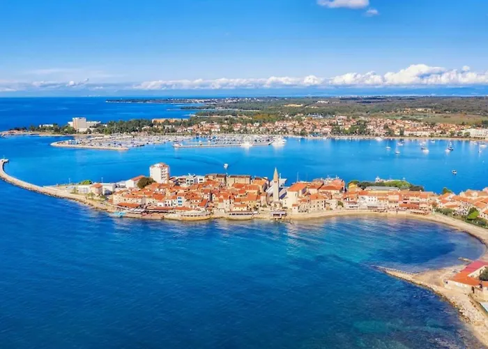 Quiet Garden In Apartamento